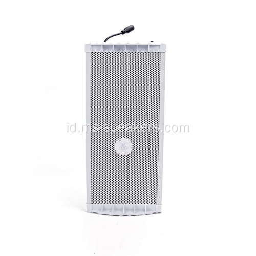 30W Weatherproof Infrared Induksi Speaker